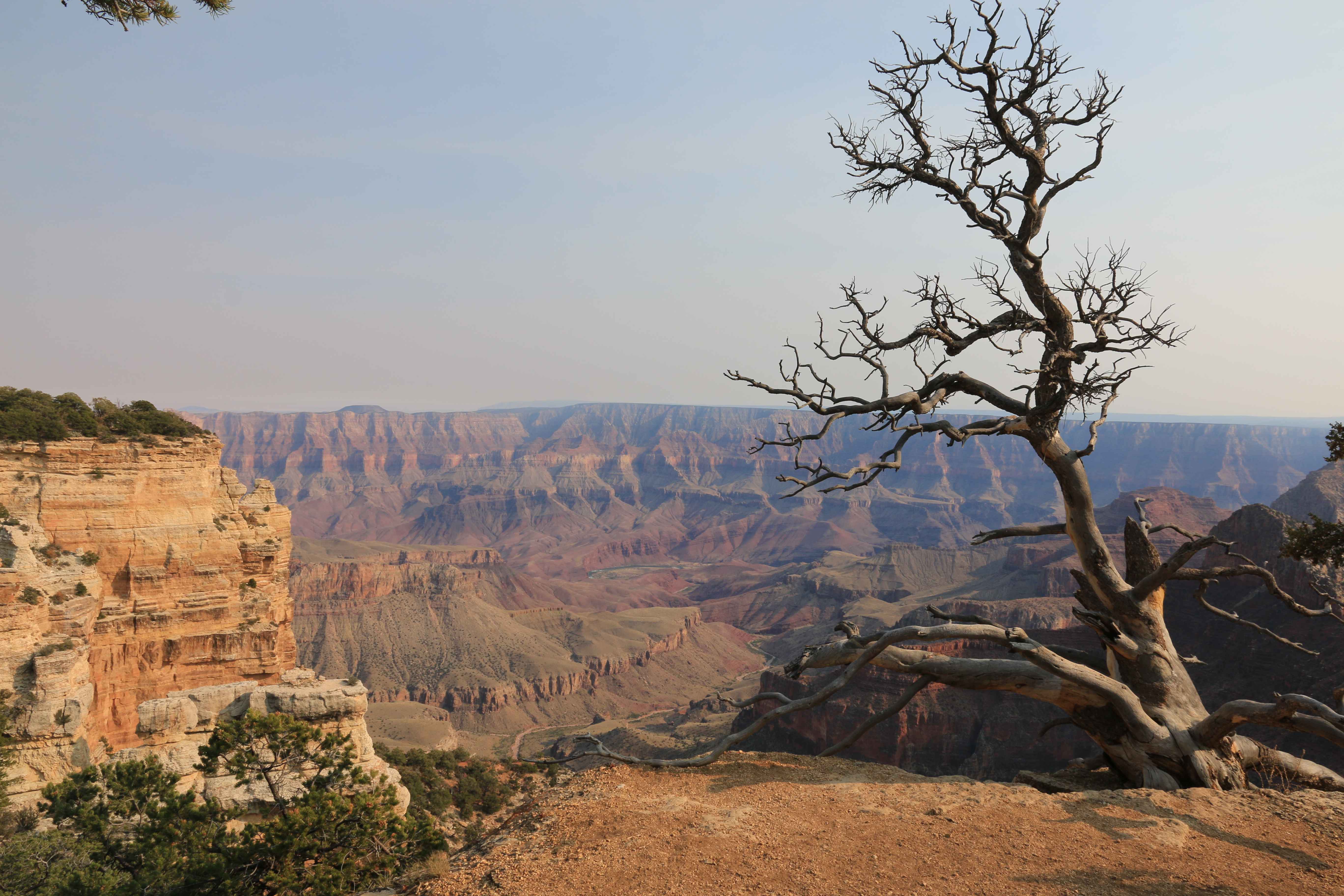 Grand Canyon North Rim